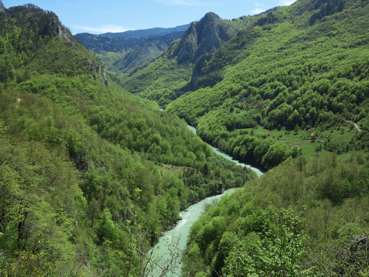 Der Fluss Tara, Blick von der Đurđevića-Tara-Brücke