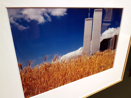 Agnes Denes: Wheatfield - A Confrontation, 1982