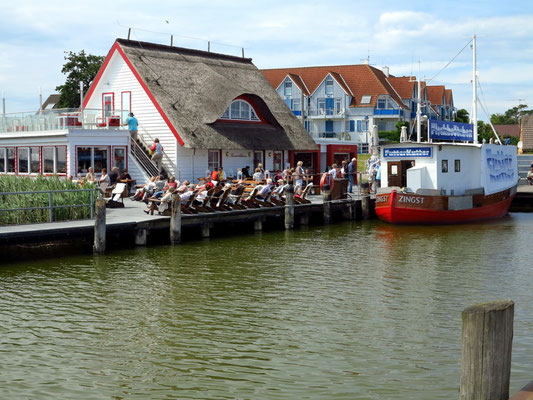 Hafen von Zingst, mit Futter-Kutter