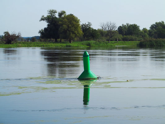 Die Oder mit Fahrwasserzeichen (Steuerbordtonne)