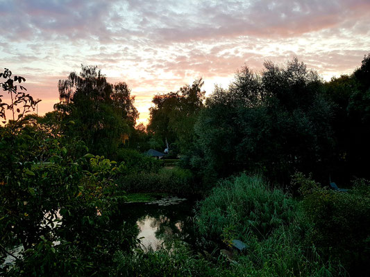 Blick am frühen Morgen aus meinem Zimmer in der Pension Schwark