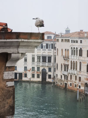 Ausblick aus dem Ca' Pesaro auf den Canal Grande