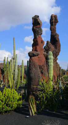 Im Jardín de Cactus, ehemaliger Steinbruch