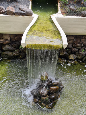 Hotel Melià Salinas, Detail der Garten- und Wasserlandschaft