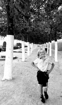 Im Park Mont des Arts (Foto: Kerstin Rother-Schäfer)