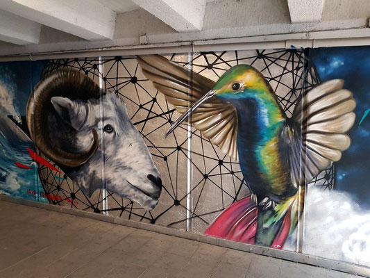 Grafiti-Kunstwerke in einer Straßenunterführung