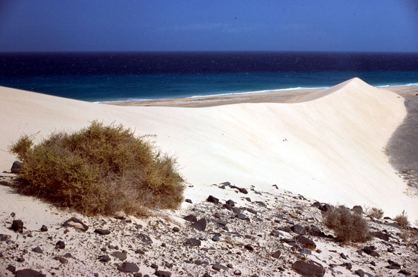 Große Düne 1977: deutlich sichtbar sind die Höhe und die scharfe Kante.