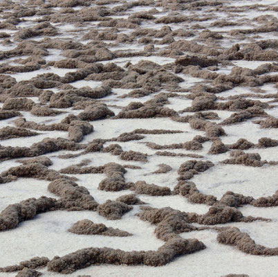 Salinen an der Playa de Janubio