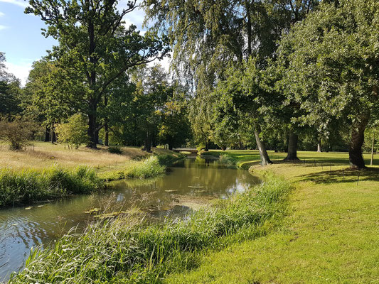 Hermannsneiße im englischen Schlossgarten