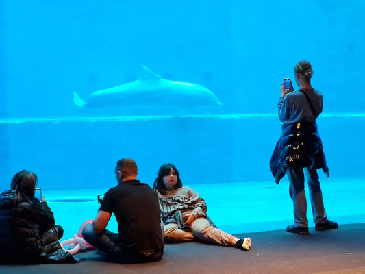 Acquario di Genova