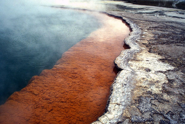 NZ Waiotapu