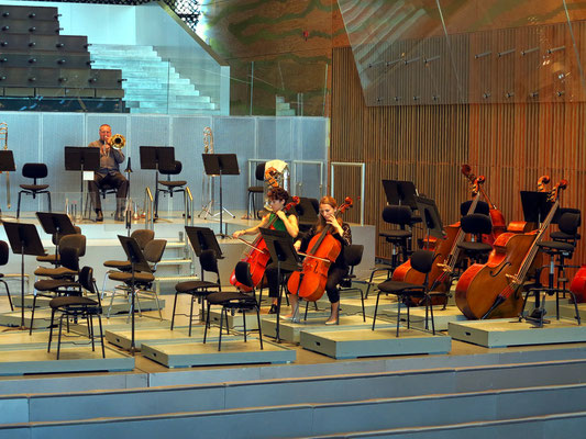 Casa da Música, Vor der Aufführung