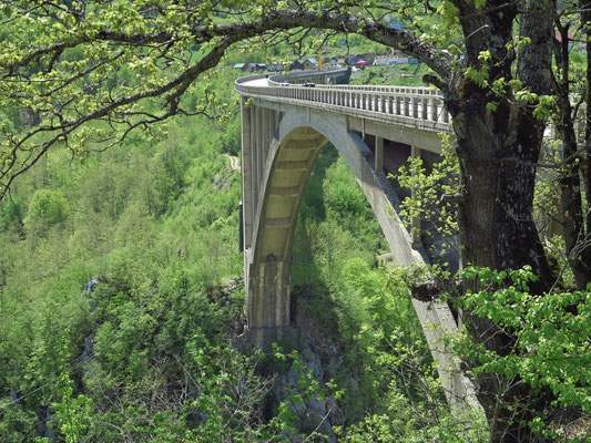 Đurđevića-Tara-Brücke