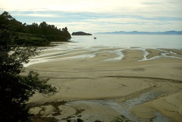 NZ Abel Tasman Track