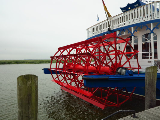 MS River-Star im Hafen von Zingst