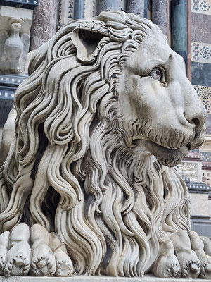 Löwe am Eingang der Kathedrale von Genua (Cattedrale di San Lorenzo)