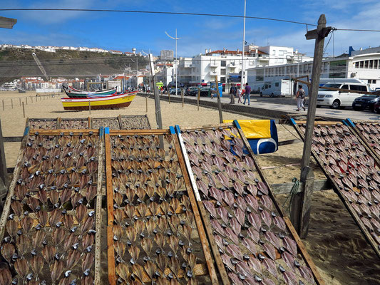 Trockengestelle mit Stockfisch am Strand von Nazaré