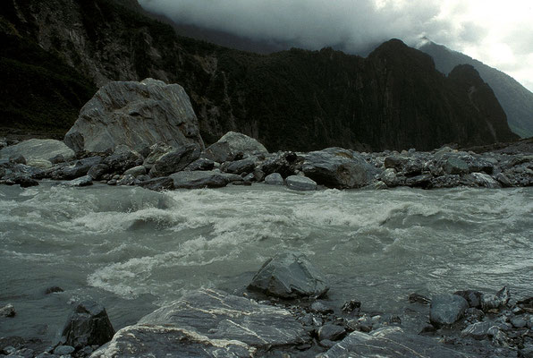 NZ Fox Glacier