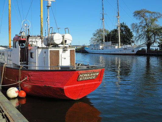 Das Segelschulschiff Greif (Schonerbrigg im Hintergrund) wurde 1951 als Ausbildungssegler für die DDR-Marine gebaut.