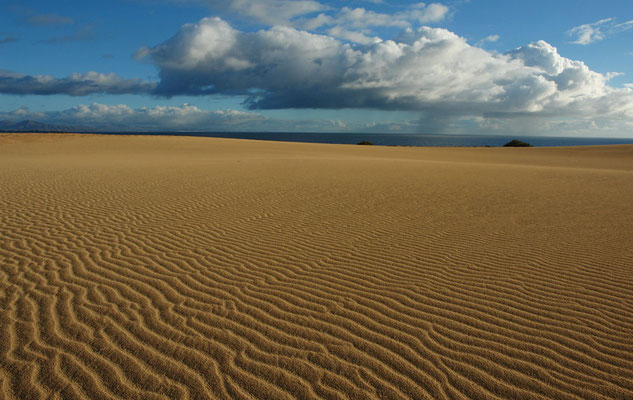 Parque Natural de Corralejo