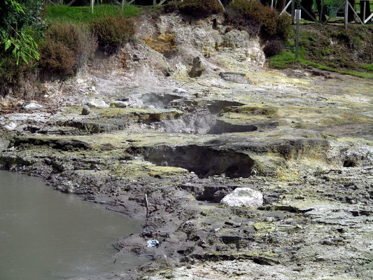 Fumarolas da Lagoa das Furnas