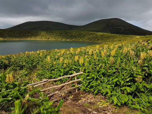 Lagoa Rasa