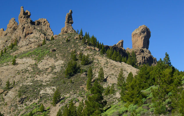 Wanderung am Roque Nublo