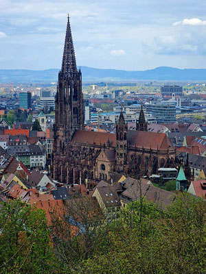 Das Freiburger Münster und die Rheinebene, vom Schlossbergrestaurant Dattler aus gesehen