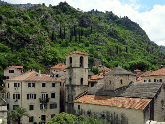 Kirche St. Mary Collegiate in der Altstadt von Kotor von 1221,  ehemalige frühchristliche Basilika aus dem 6. Jh., Blick von der nördlichen Stadtmauer