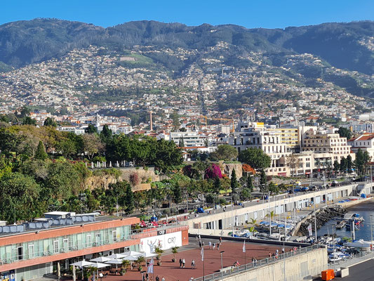 Blick von der AIDAsol zum Berghang von Madeira