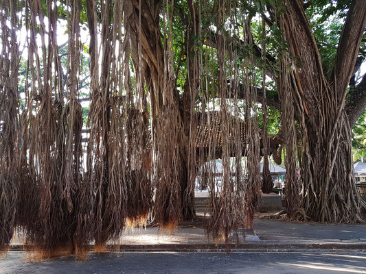 Galle Fort, Court Square