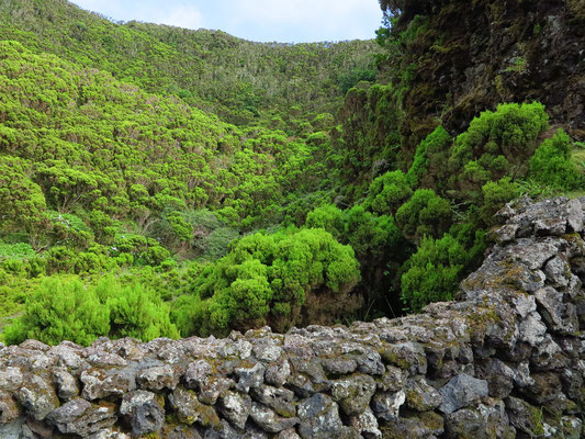 Algar do Carvão, Caldeira neben dem Eingang