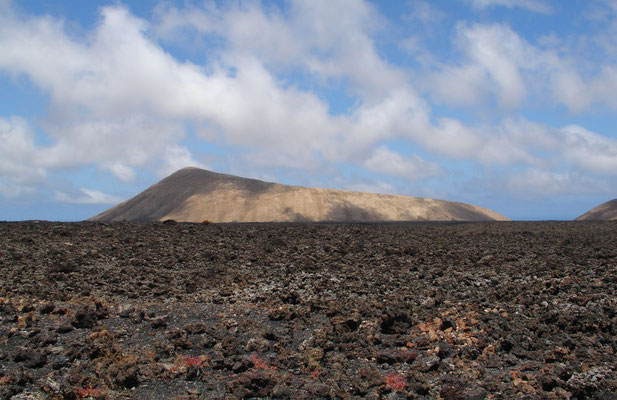 Caldera de Montaña Blanca, Blick von der Straße westlich von Mancha Blanca