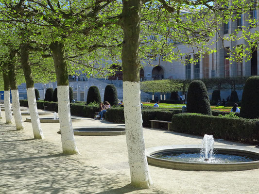 Brüssel, Baumallee am Park Mont des Arts