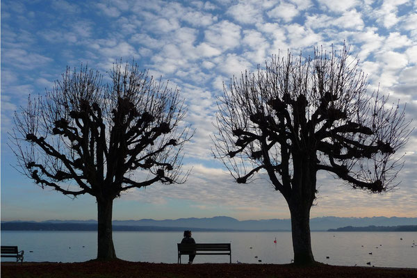 Tutzing, Starnberger See, 20.11.2011