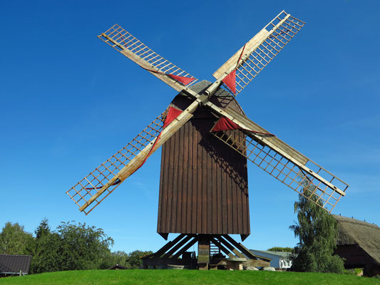 Die Bockwindmühle Eldena, 1533 erstmals erwähnt, gehört zu den ältesten Mühlen an der Ostseeküste.