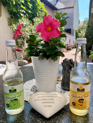 Pause bei der Weinkellerei Land in Mörbisch