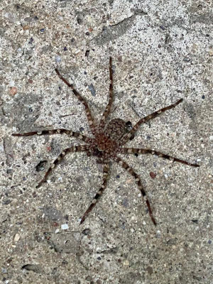 Besuch vor dem Schlafzimmer