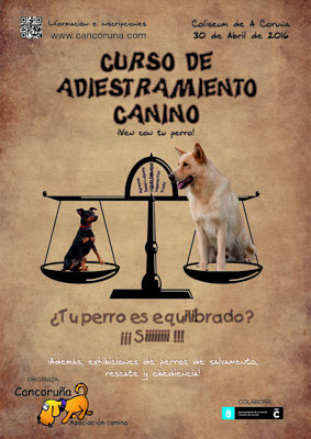 Curso de adiestramiento canino
