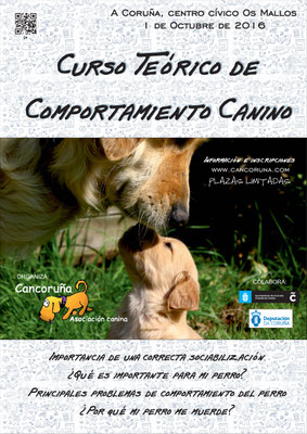 Curso teórico de comportamiento canino