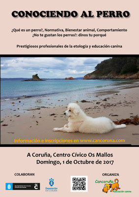 Conociendo al perro