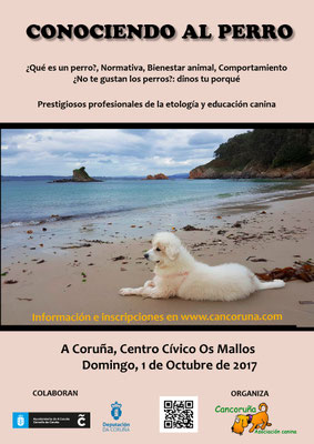 Conociendo al perro