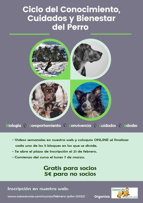 Ciclos del Conocimiento, Cuidados y Bienestar del perro