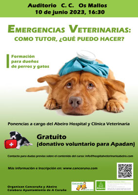 Emergencias veterinarias: como tutor, ¿qué puedo hacer?