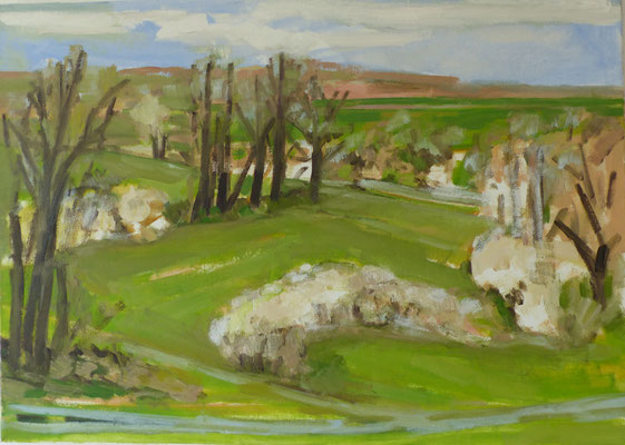 Landschaft Marbach 50x70 Öl Lw 2021
