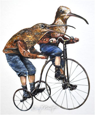 "Brachvögeldreirad" Aquarell und Zeichnung auf Karton Format 42 x 36 cm Preis 1050 €