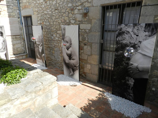 Temps de Flors 2013 (Girona)