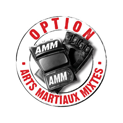 Option arts martiaux mixtes