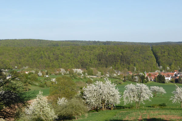 Streuobstwiesen bei Böhne