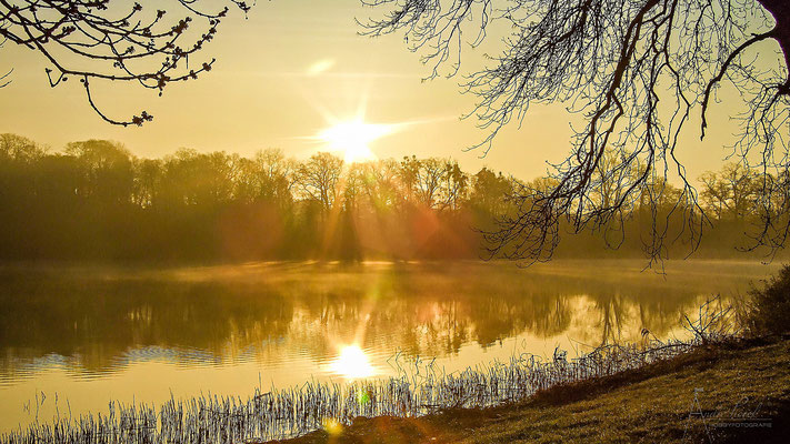 Sonnenaufgang am See in Mecklenburg / Andre Piorek